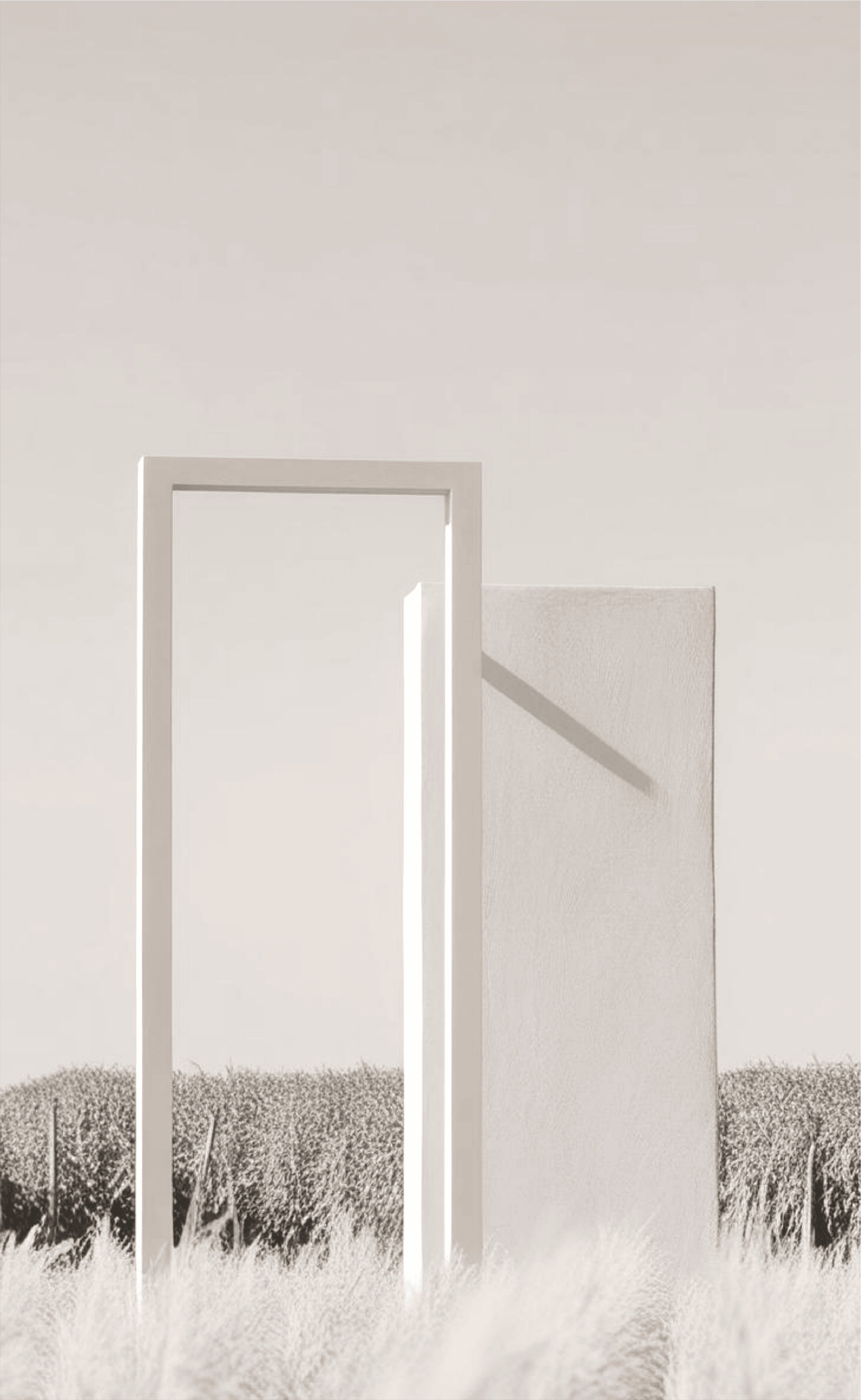 메인 배경